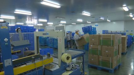 安全培訓達標上崗，漢方科技以網絡技術開發奏響復工復產前奏曲